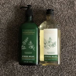 Eucalyptus Spearmint Body Wash and Moisturizer